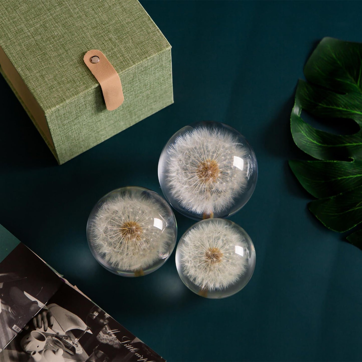 Paperweight Dandelion Dream Ball. Crystal Wishing Ball. Unique Paperweight Made of Dandelion. Gift for Women Men (Mom, Dad, Teacher), Birthday, Wedding, Valentine's Mother's. (8CM)