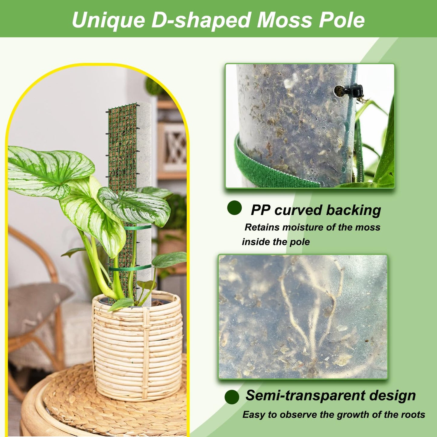 70"/60"/40"/24" Metal Moss Pole, D Shape Sphagnum Moss Pole, Moss Poles for Climbing Plants, Monstera, Indoor Climbing Plants (1 Each of 70" 60" 40" 24")
