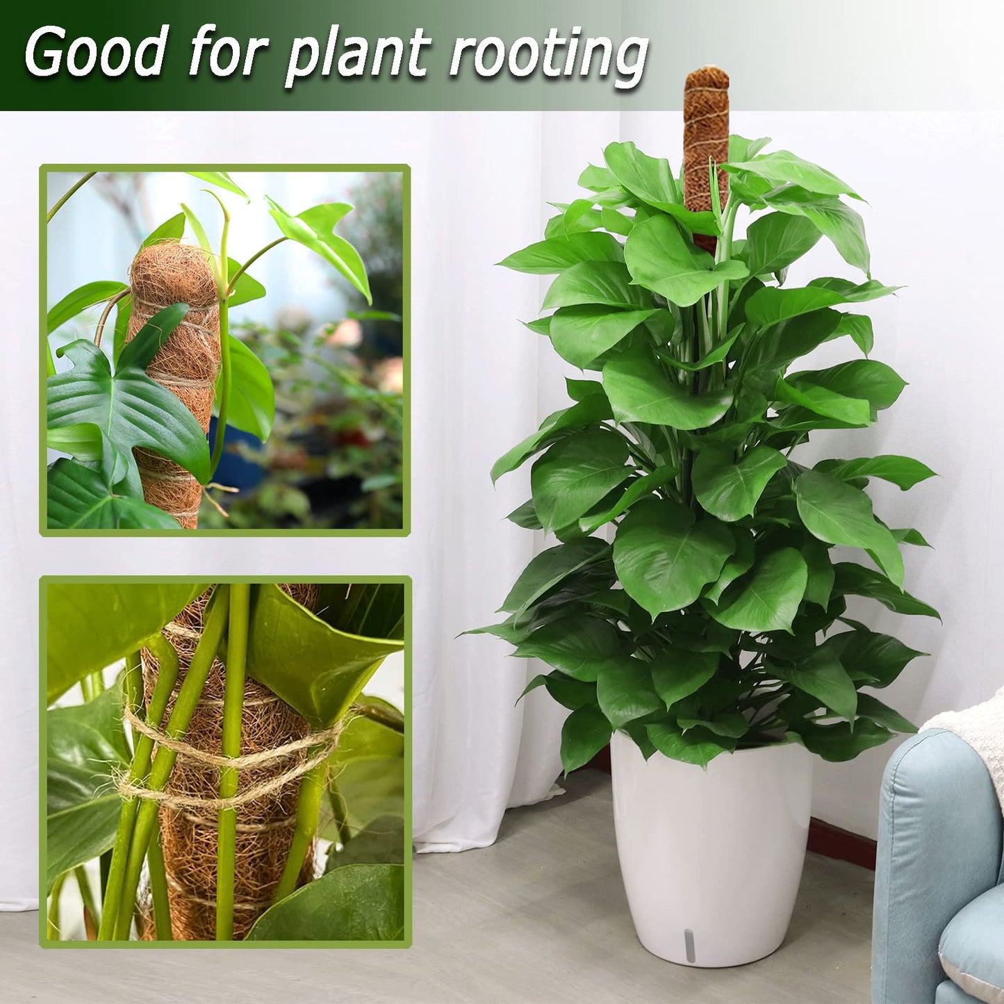 Tall Moss Pole Set, 48” and 60” Bendable Moss Pole for Plants Monstera, Moss Poles for Climbing Plants Indoor, Large Coco Coir Plant Pole Sticks Support Stakes for Potted Plants, Pothos
