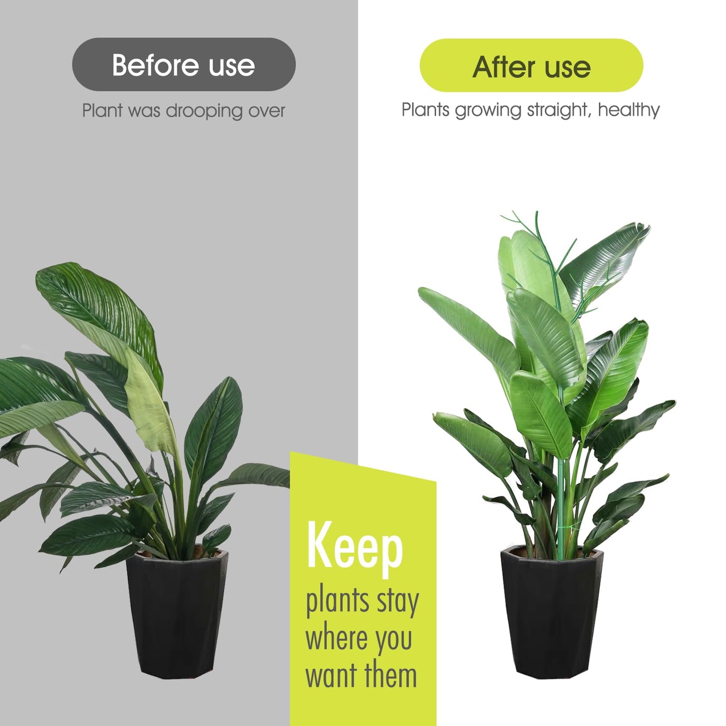 10 Pack Plant Support Stakes for Indoor Plants, 27.56 Inch Twig Plant Sticks with Orchid Clips Twist Ties and Plant Ties for House Potted Plants and Flower, Plastic Branches Support Structures, Green