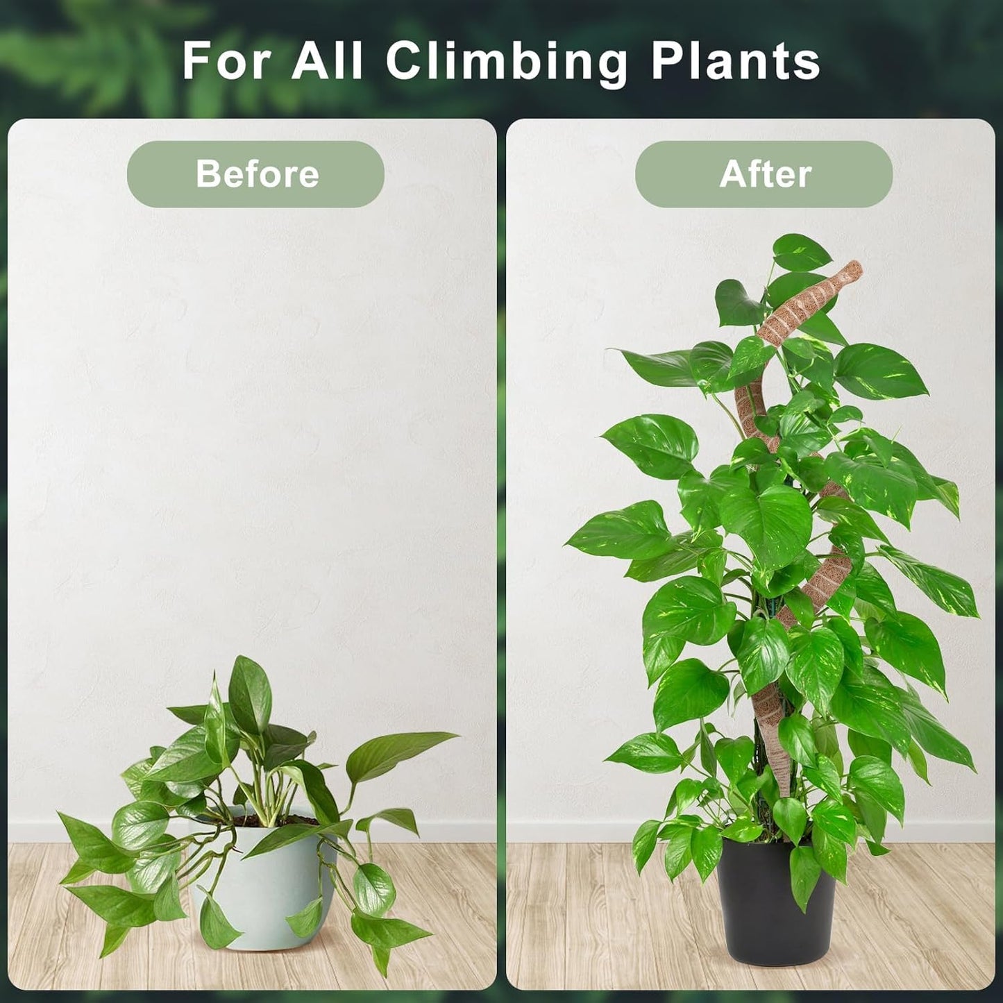 2 Pack 48 Inch Moss Pole, Bendable Moss Pole for Plants Monstera, Tall Moss Poles for Climbing Plants Indoor, Large Support, Garden Trellis Stick Stakes for Plant