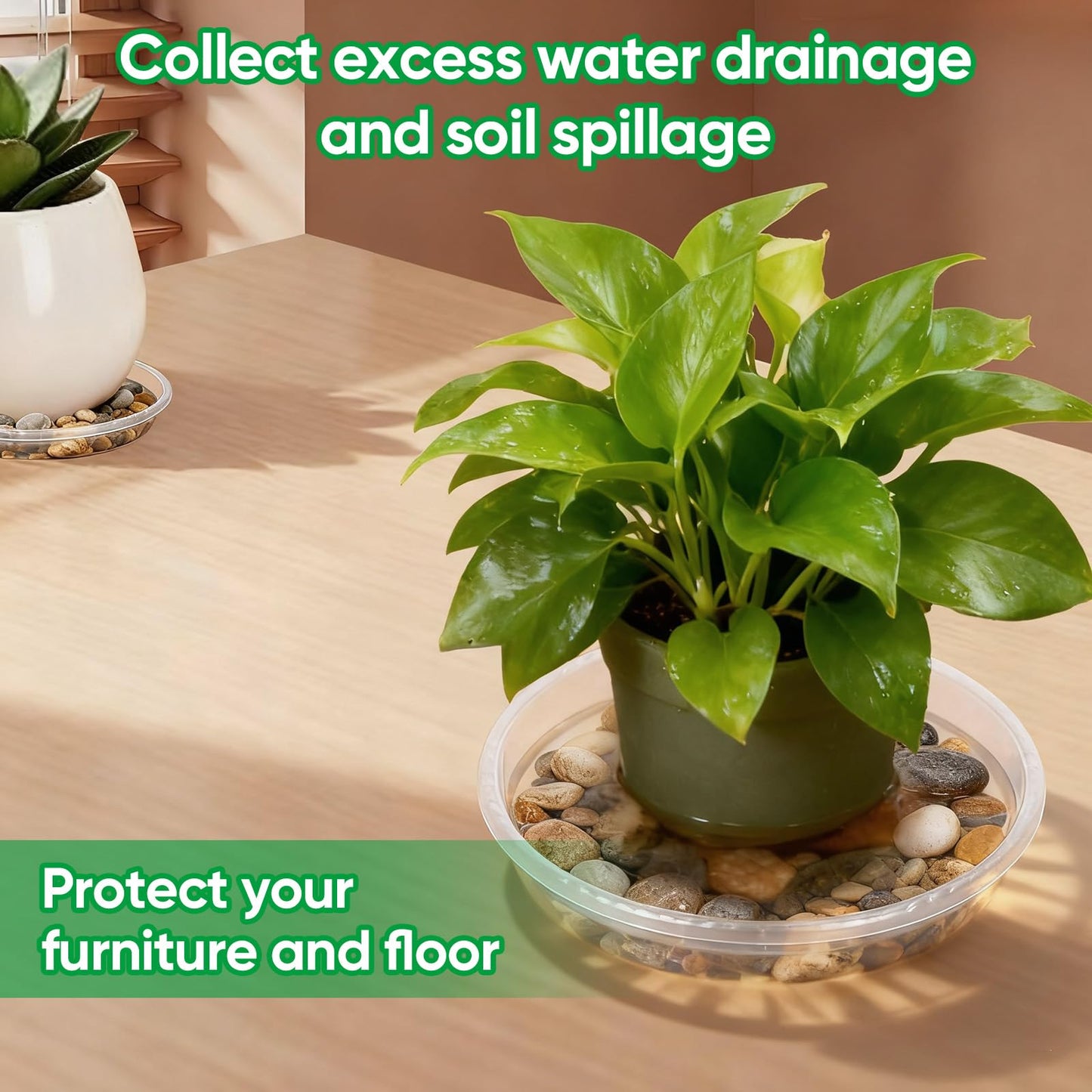 Dovesail 25 Pack Plant Saucer Tray, 6/8 / 10/12 /14 inch Heavy Duty Flower Pot Trays, Plastic Plant Saucer for Indoor & Outdoor Plants, Plant Trays to Catch Water, 5 Pieces of Each Size