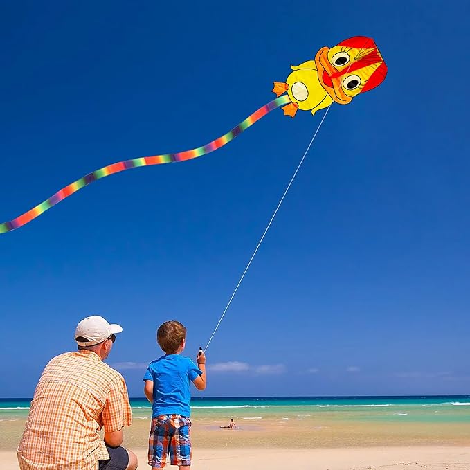 Duck Pattern Kites for Kids, Cute Large Kite Duck Kite with Long Colorful Tail for Kids & Adults, Easy to Fly Kite for Beginners Outdoor Activities