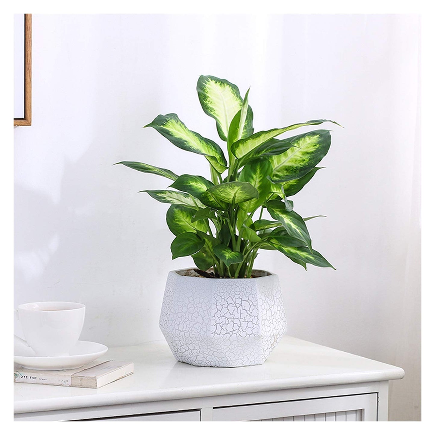 Plants Flower Pots Outdoor Indoor Garden Planters Ceramic Plant Containers with Drain Hole Modern Flower Pot for All House Plants Flowers Herbs Gardening Pot (Size : Brass)