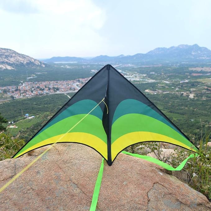 Mint's Colorful Life Delta Kite for Kids & Adults, Extremely Easy to Fly Kite, Best Kites for Beginner