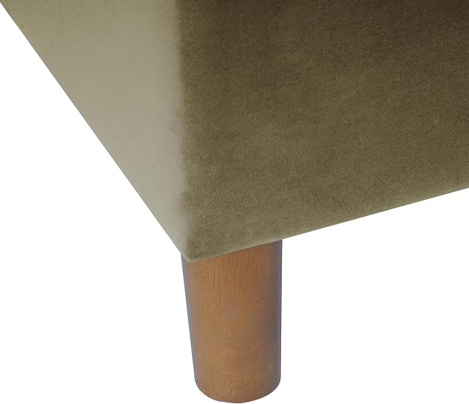 Spatial Order Home Decor | Dinah Collection Modern Storage Ottoman | Ottoman with Storage for Living Room & Bedroom(Light Sage Green Velvet)