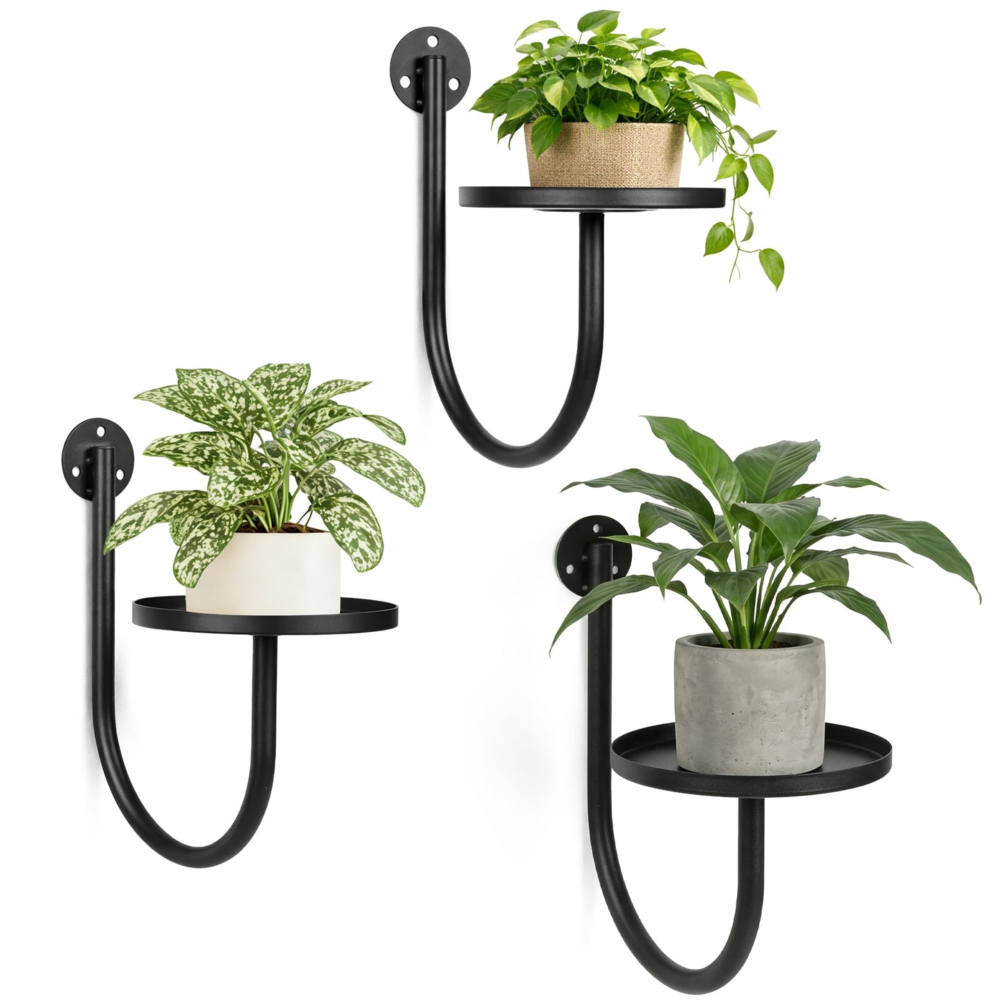 SUNCKET Wall Plant Holders for Indoor Plants, 3 Pack Metal Wall Mounted Plant Shelves，Modern Window Plant Hanger, Space Saving Hanging Planters for Living Room Bedroom Kitchen Bathroom Office Decor, Black