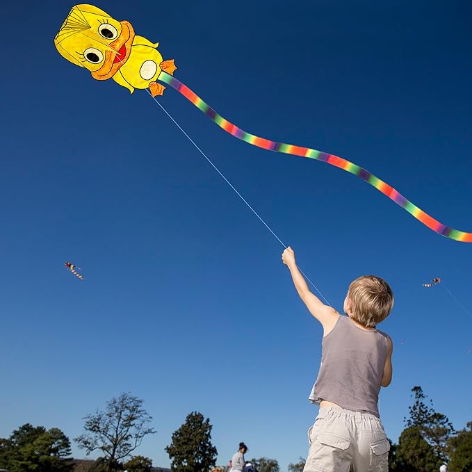 Duck Pattern Kites for Kids, Cute Large Kite Duck Kite with Long Colorful Tail for Kids & Adults, Easy to Fly Kite for Beginners Outdoor Activities