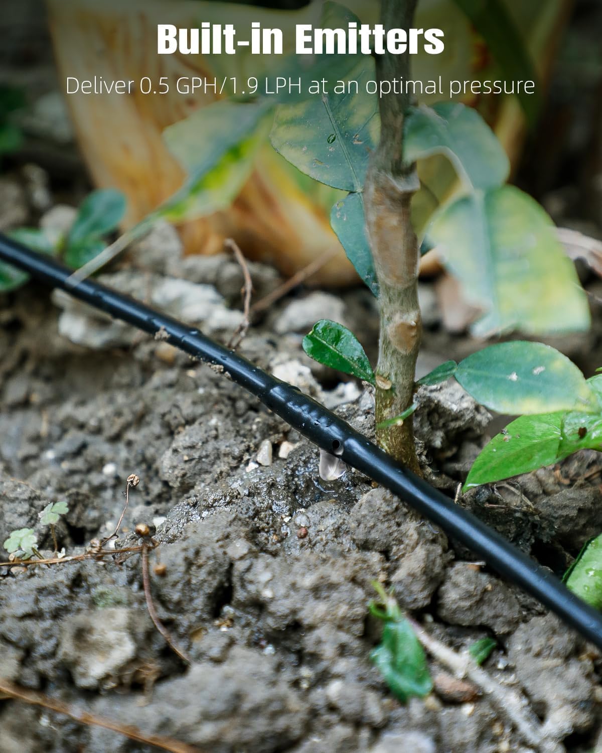 Pawfly 50 ft. 1/4" PE Irrigation Dripline Tubing, Black Polyethylene Distribution Line, Quick-Connect Compatible Drip Hose for Small Garden & Potted Plants