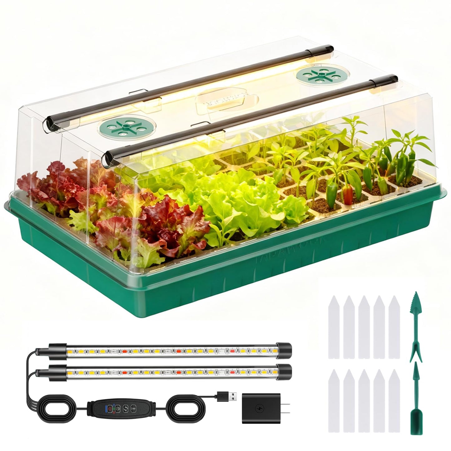 Adawook Seed Starter Trays with Grow Lights, Color Change Grow Lights for Seed Starting Kit, 3 Timming Set, Indoor Plant Growing Kit for Gardeners, Germination Trays Kits, Gardening Gifts (60 Cells)