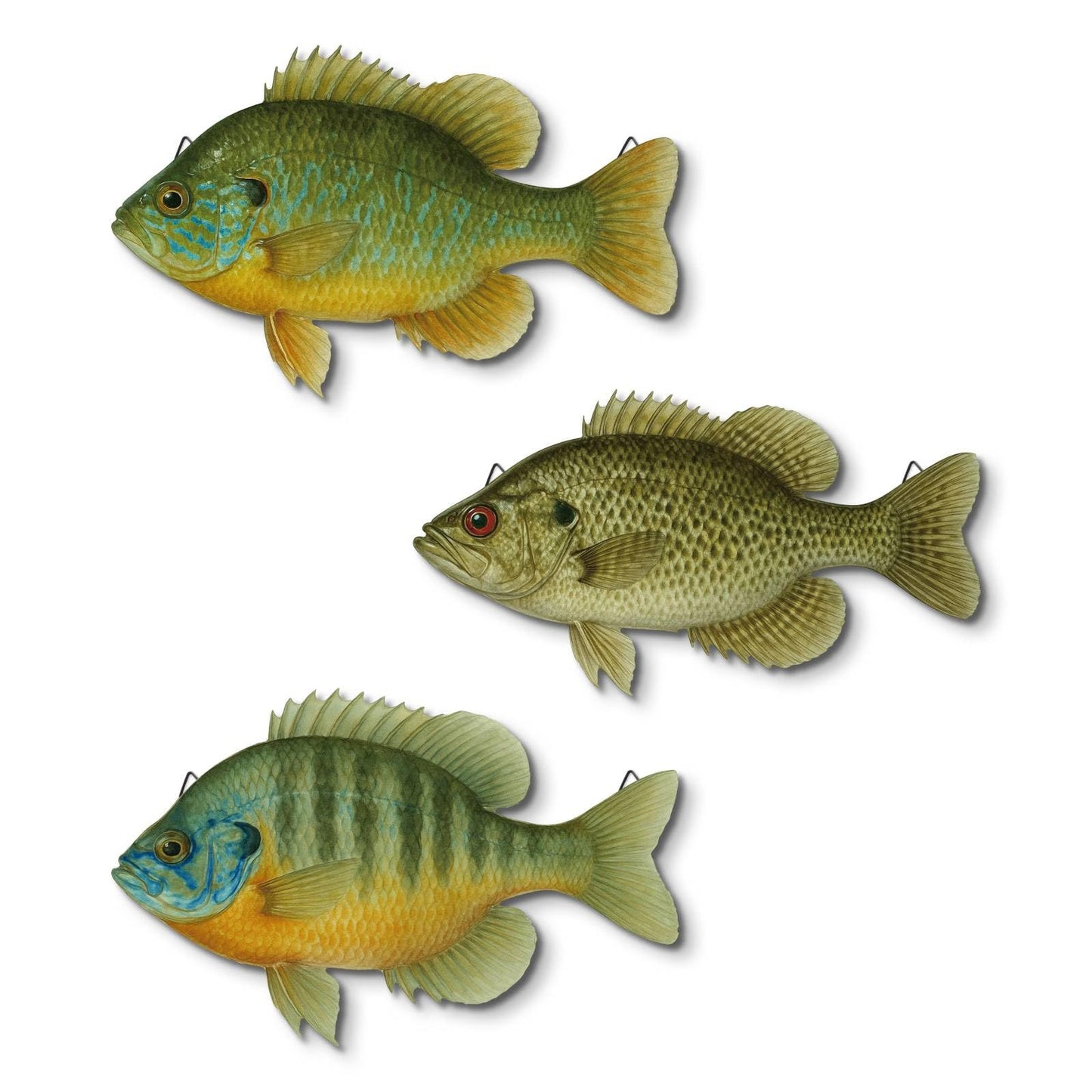 Putuo Decor 3 Pcs Beach Wooden Fish Wall Decor Coastal Hanging Wall Art Ocean Style Decoration for Fishing Lodge Bathroom Lake House