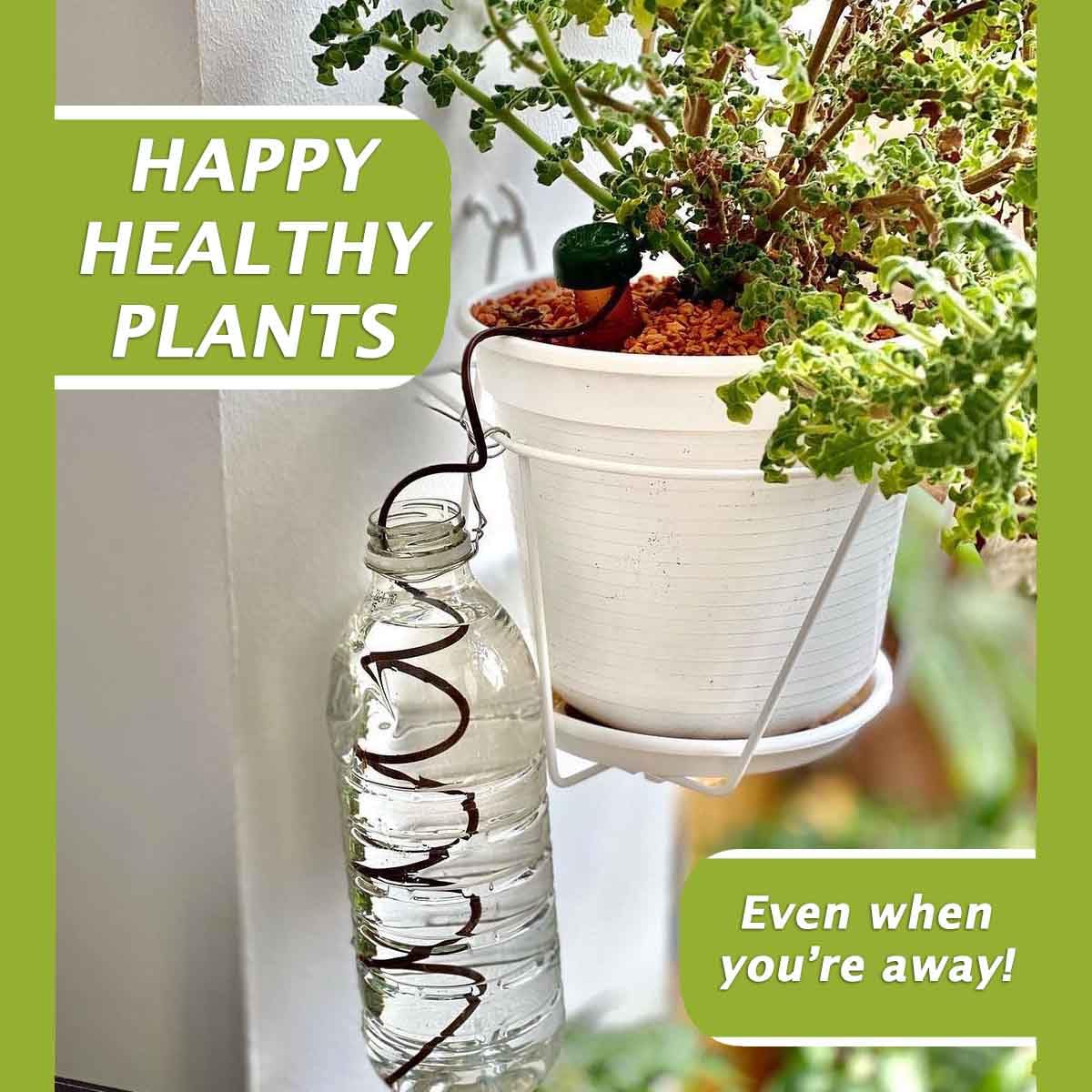 Blumat Classic Self-Watering Stakes - Prevents Overwatering and Underwatering for Healthy Growth While You are Away - Ideal for Indoor Plant Watering, 25 Pack, wo Adapter