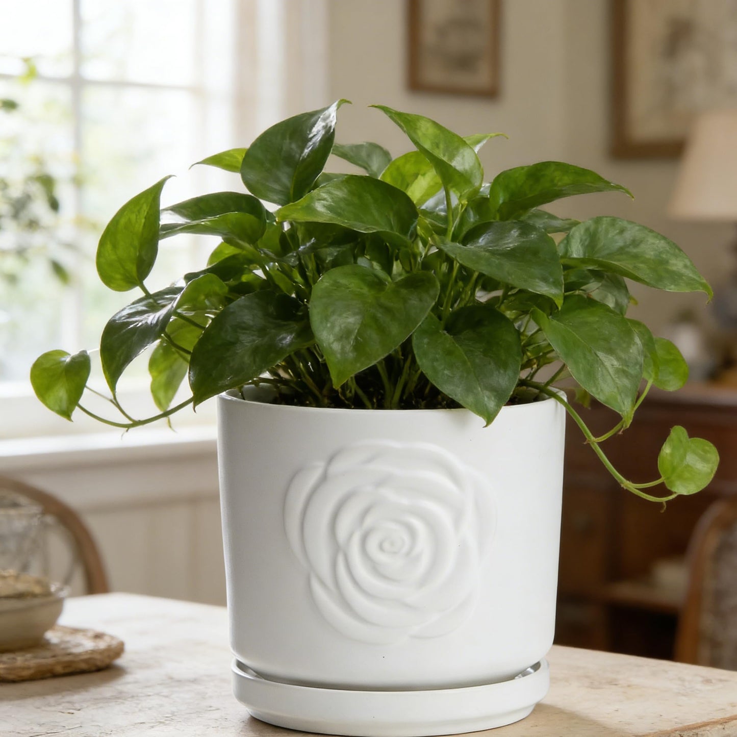 Ekirlin 7 Inch Indoor Plant Pots, White Ceramic Flower Planters, Modern Style Succulents Containers with Drain Hole & Saucer Tray, Weatherproof Pot for Decorate Home,Office & Outdoor (Rose Design)