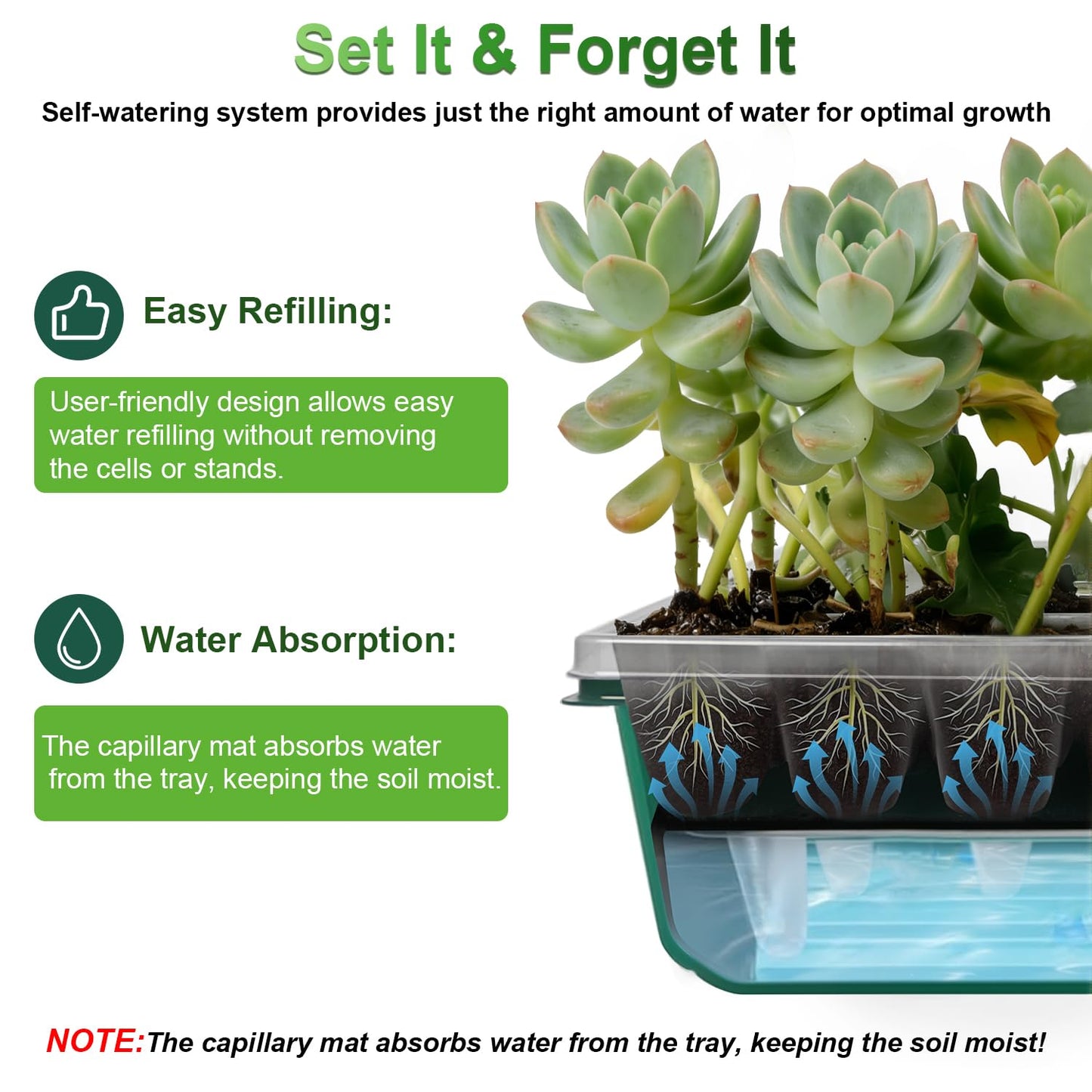TONYFUL Seed Starter Tray with Grow Light, 60-Cell Seed Starter Kit with 4.07” Humidity Dome, Indoor Seedling Starter Tray, Seed Starting Tray for Plant Germination, Seeds Growing