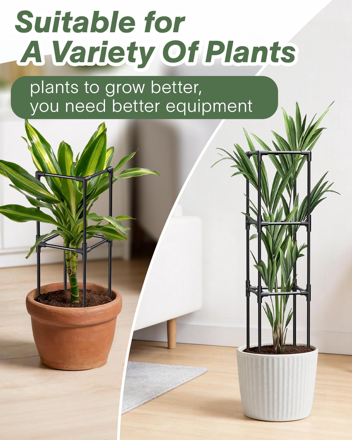 Dragon Fruit Trellis for Climbing Plants Indoor Outdoor, Heavy Duty Metal Adjustable Vertical Garden Support for Indoor Outdoor Potted Plants, Tomato, Cactus, Roses,Vines(10 * 10 * 47inch,1PC)
