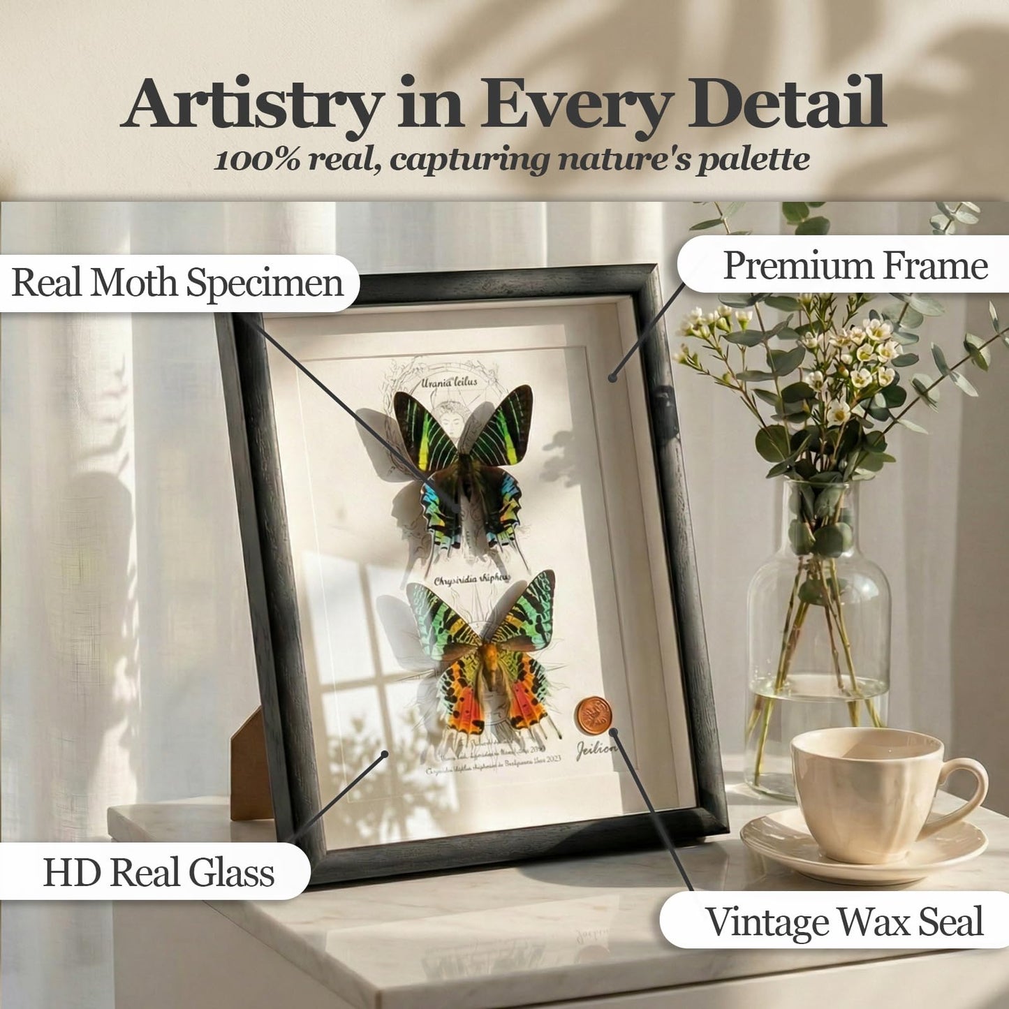 ArsVenciik Real Framed Moth Specimen Duo - Preserved Sunset & Urania Taxidermy - Metallic Rainbow Shadow Box Wall Art - Handmade Insect Decor & Gift for Butterfly/Moth Lovers