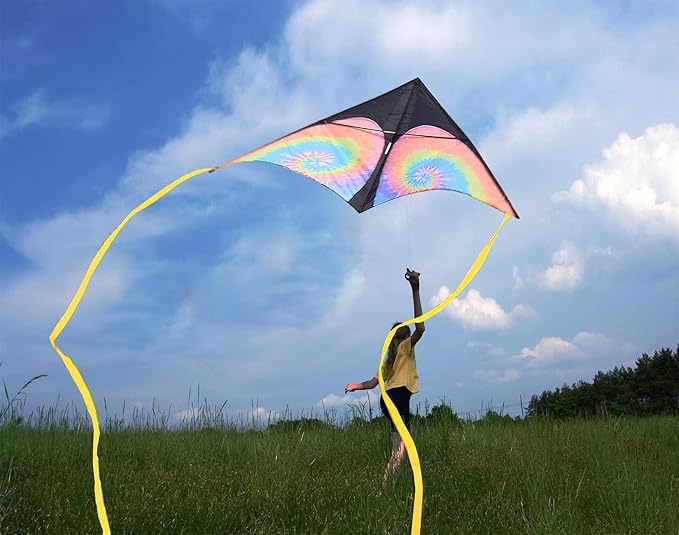 Delta Beginner Kite for Kids & Adults, Easy to Fly Beach Kite