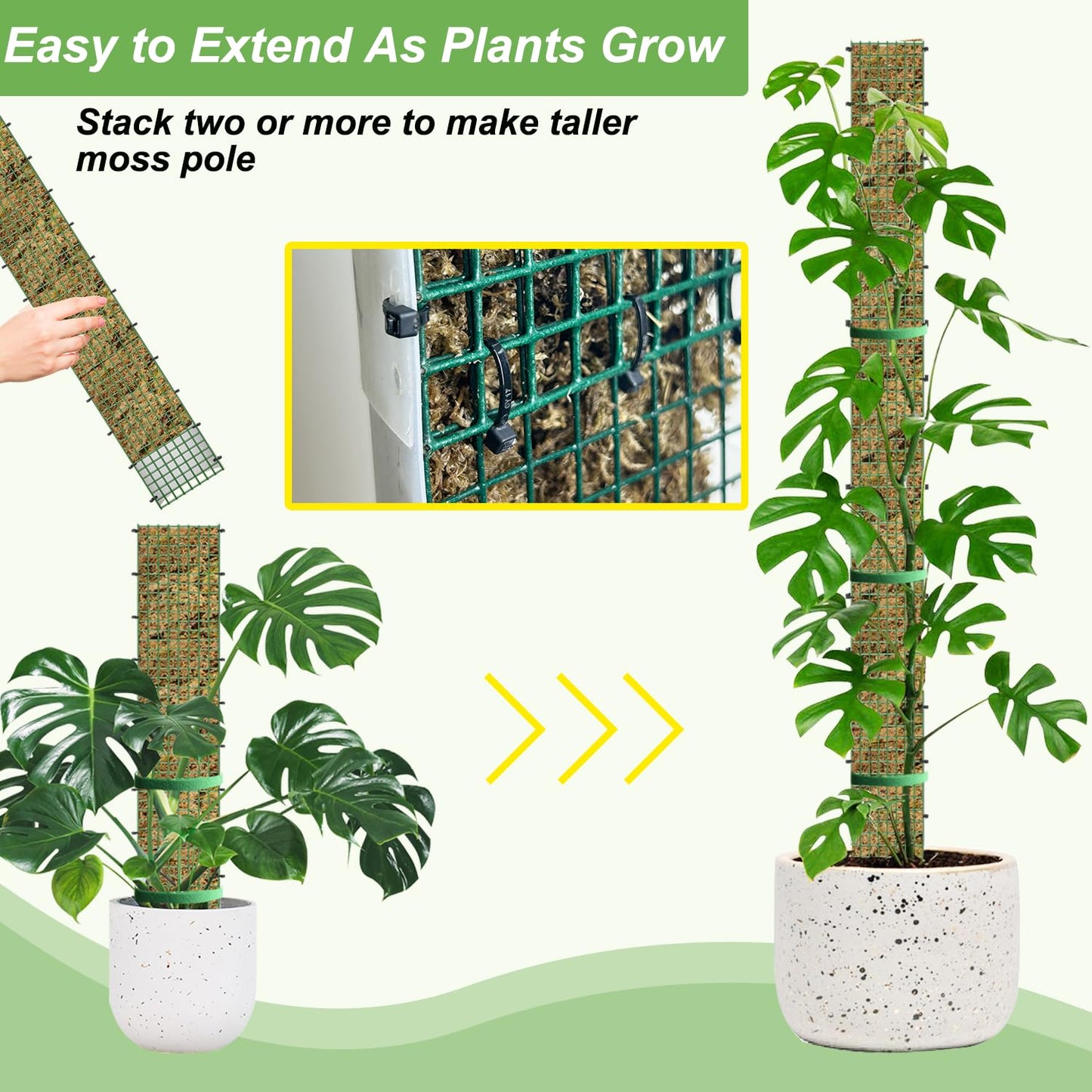 60"/40"/24" Metal Moss Pole, D Shape Sphagnum Moss Pole, Moss Poles for Climbing Plants, Monstera, Indoor Climbing Plants (3 Each of 60" 40" 24")