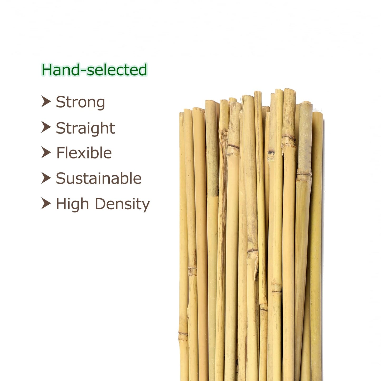 Cambaverd Bamboo Garden Stakes 3 Feet Plant Stakes for Roma Tomatoes Sunflowers Beans Potted and Climbing Plants - Pack of 25 Bamboo Sticks