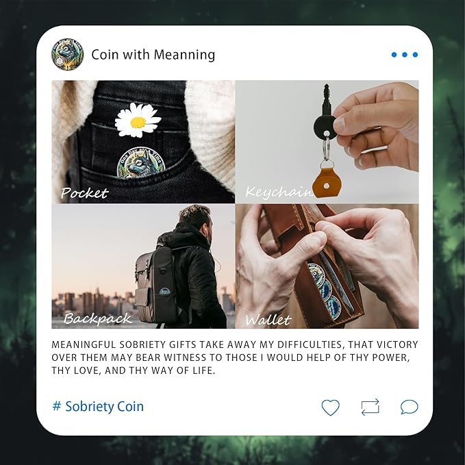 One Day at a Time 30 Day Sobriety Coin - Recovery Aurora Forest Wolf AA Coins - Addiction NA AA Chips and Medallions - Celebrate 1-30 Living Clean Sober Alcoholics Anonymous Gifts for Men Women