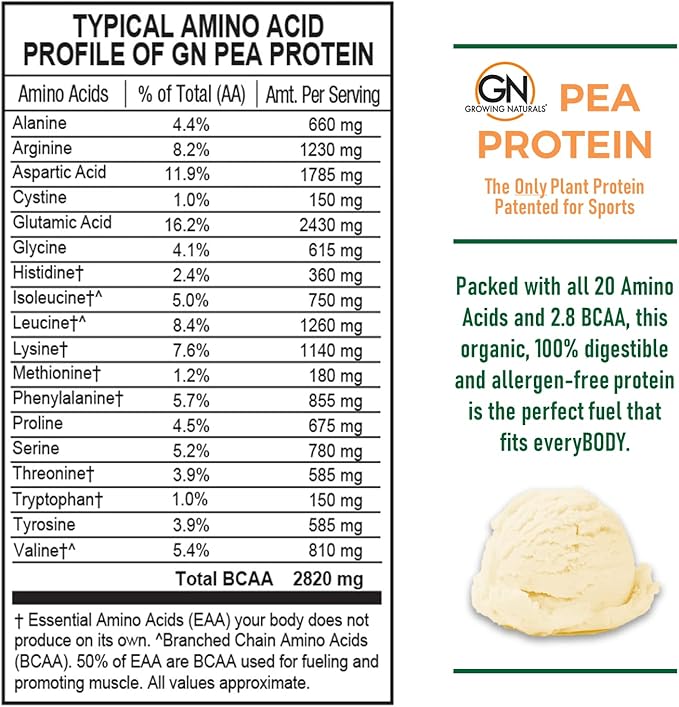 Raw Pea Protein Powder, Vegan Plant Based Protein, BCAA, Low-Carb, Low-Sugar, Vanilla Blast, 1 Pound (Pack of 1)