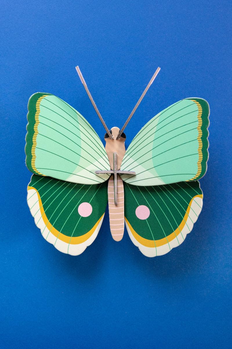 STUDIO ROOF, Wall Art Butterfly, Fern Striped Butterfly, Eco-Friendly & Creative Gift