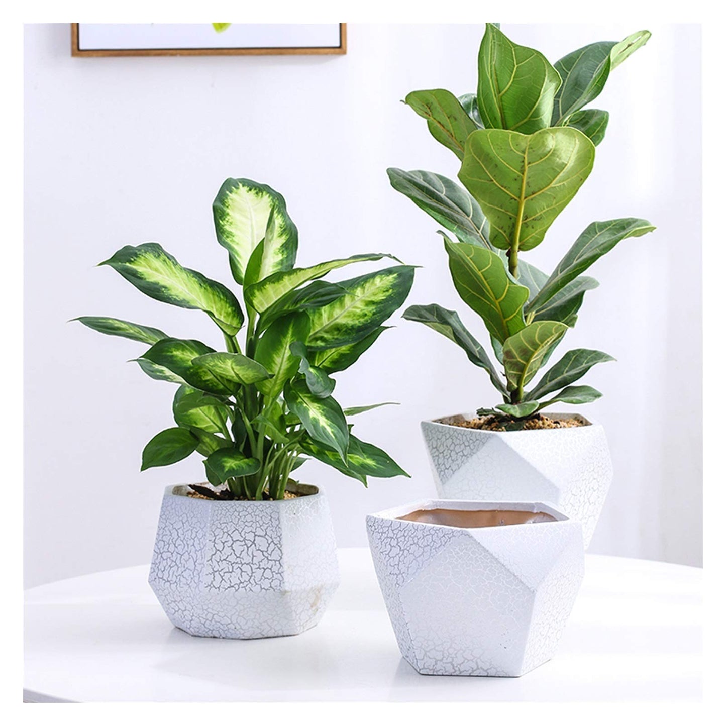 Plants Flower Pots Outdoor Indoor Garden Planters Ceramic Plant Containers with Drain Hole Modern Flower Pot for All House Plants Flowers Herbs Gardening Pot (Size : Brass)