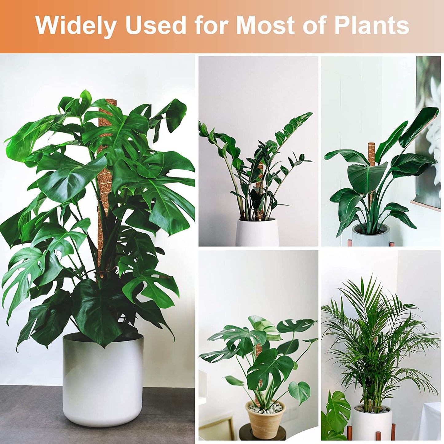【2 Pack】 JJGoo Moss Pole, 2 Coco Coir Totem Poles Extending to 29 Inches, Plant Support Stick for Indoor Plants Climbing Plants Monstera, Sphagnum, Pothos