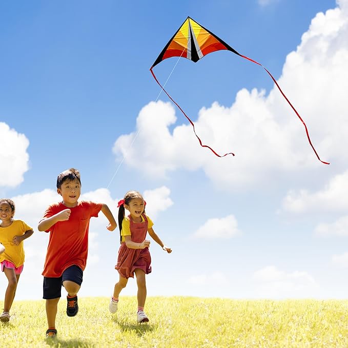 Delta Beginner Kite for Kids & Adults, Easy to Fly Beach Kite