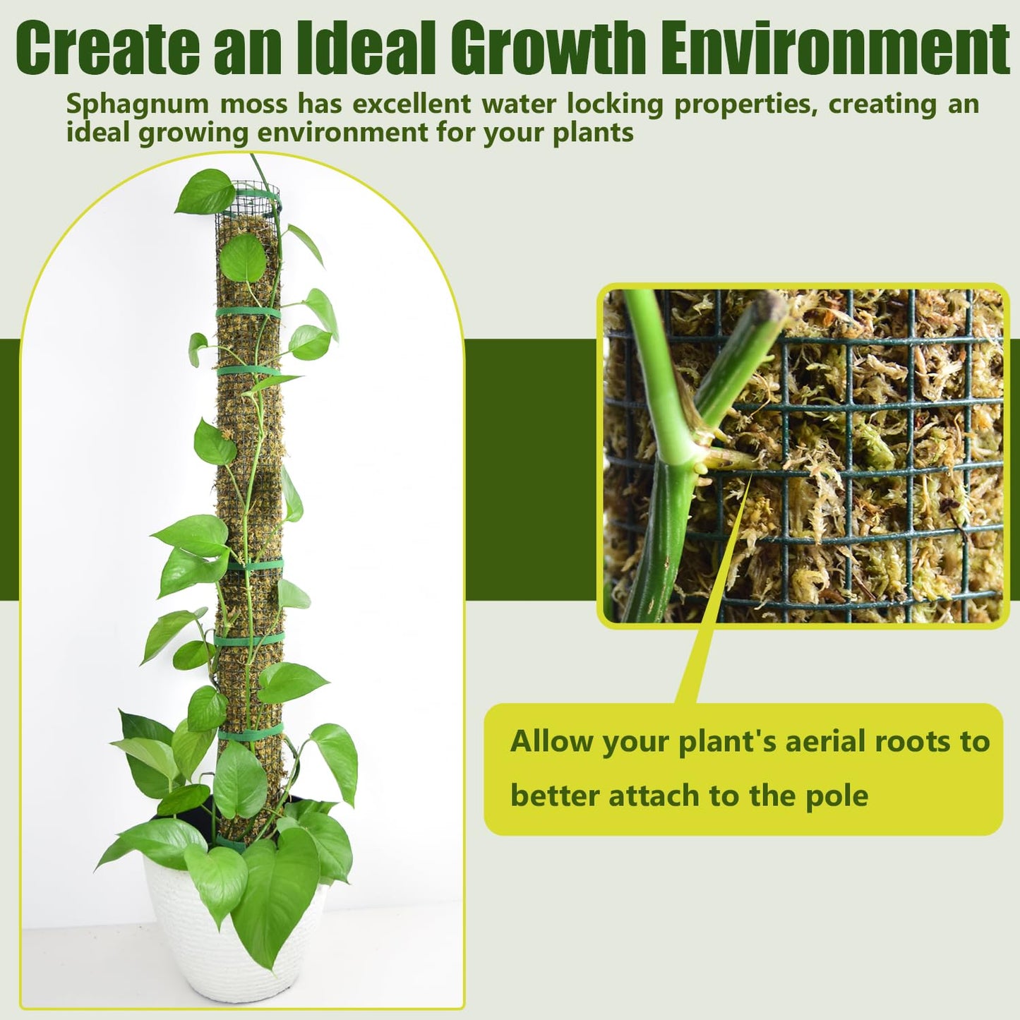60" Metal Moss Pole, 2 Pack Moss Poles for Plants Monstera, Stackable Sphagnum Moss Pole, Plant Poles for Climbing Plants Work with Sphagnum Moss(2 Pack 60")