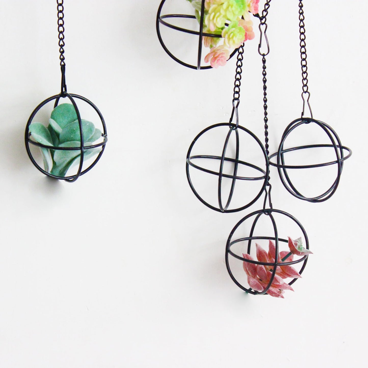libproqia 6 Set Air Plants Hanging Holders Black Metal Himmeli Decor Modern Geometric Airplants Planter Air Fern Plants Hanger for for Home for Plant Lovers