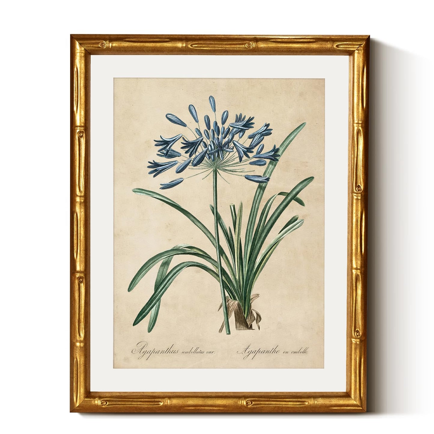 InSimSea Gold Bamboo Framed Canvas Wall Art, Retro Lily Botanical Prints, Antique Moody Picture Frame with Mat, Victorian Home Wall Decor for Kitchen Dining Living Room Bedroom, 11x14inch