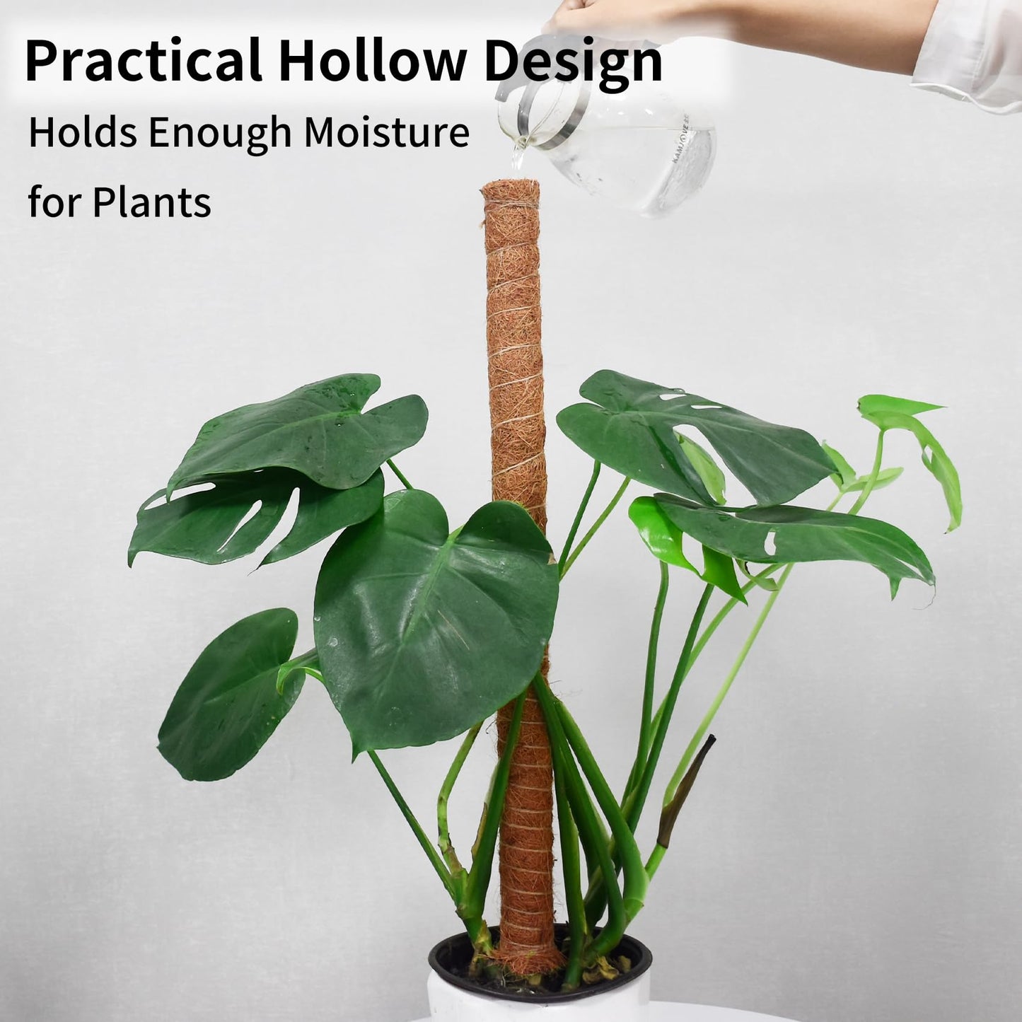 JJGoo Moss Pole for Plants Monstera,【4 Pack】 23.6 inch Plant Support Pole, Extendable Coir Totem Pole for Potted Plants Pothos,Train Indoor Climbing Plants to Grow Upwards - Extends to 74.6 Inches