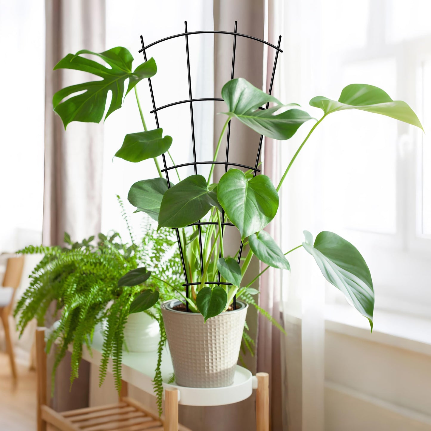 Thealyn 4 Pack 32" Metal Plant Trellis for Pots & Garden Beds, Rustproof Support for Indoor Outdoor Climbing Plants, Vines, Flowers, Fan Shaped, Black