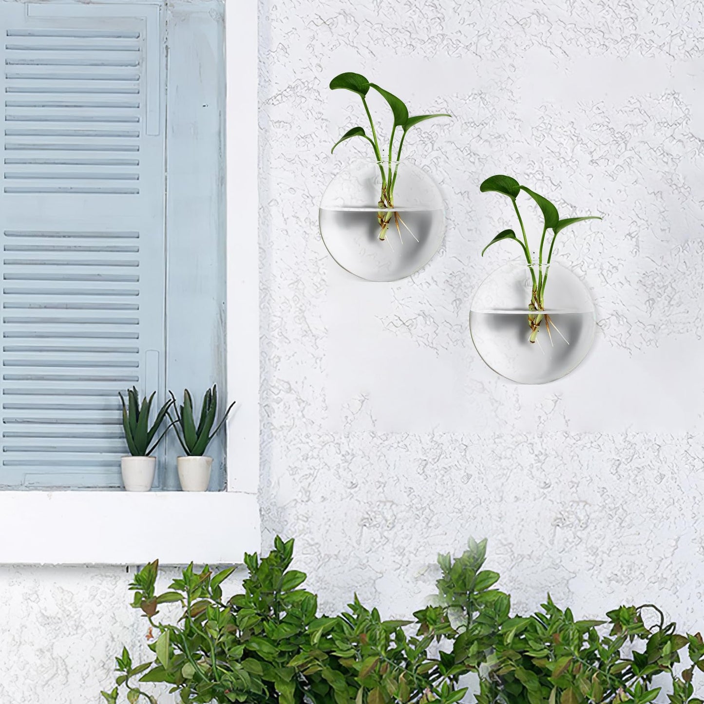 DOITOOL Wall Mounted Glass Vase for Hydroponics Plants, 4pcs Flat Bubble Hanging Terrarium Holders, Indoor Decorative Flower Containers for Wedding Centerpieces and Home Décor