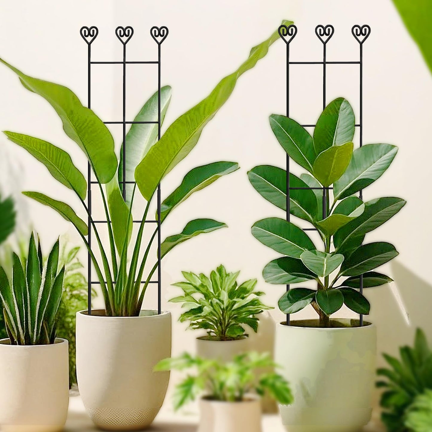 Xeeol 32in Large Indoor Plant Trellis for Climbing Plants, Expandable Metal Garden Trellis for Potted Plants, Tall Plant Supports for Ivy Pothos Hoya Monstera, 2p