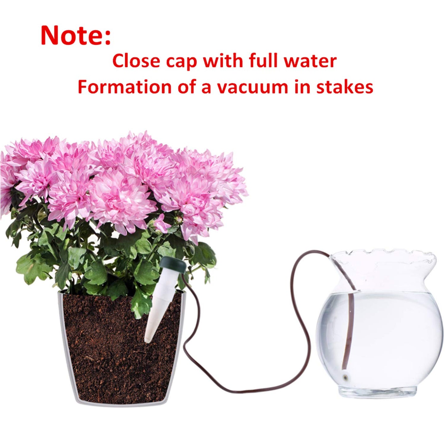 Hestya 10 Pack Plant Watering Stakes Automatic Devices Plant Self Drip Irrigation Slow Release Indoor Outdoor Terracotta Water Spikes for Potted Plants Flower (Black Base)