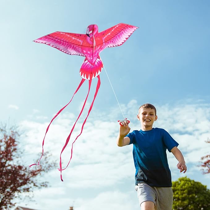 Mint’s Colorful Life Large Kite for Kids and Adults, Easy to Fly Single Line Beach Kites, Comes with 300ft String Handle