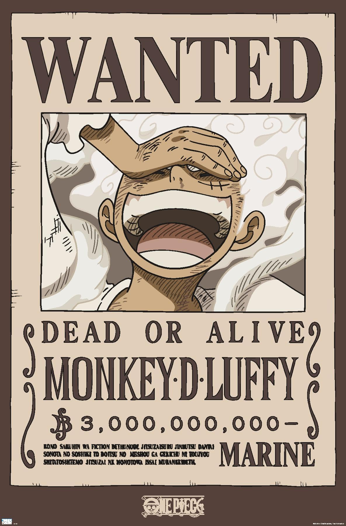 One Piece - Monkey D Luffy Wanted Poster Wall Poster, 34L" x 22.4W", Unframed Version