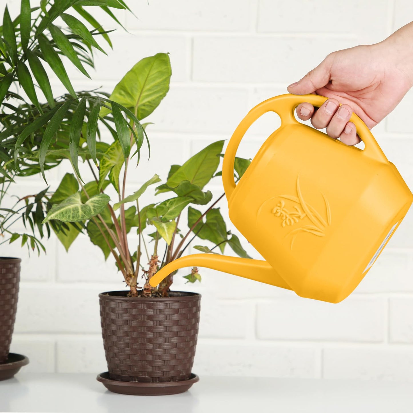 ZXJ Plant Watering Can - for Indoor and Outdoor Home Garden Plants - with Long Spout - Orange - 1/2 Gallon