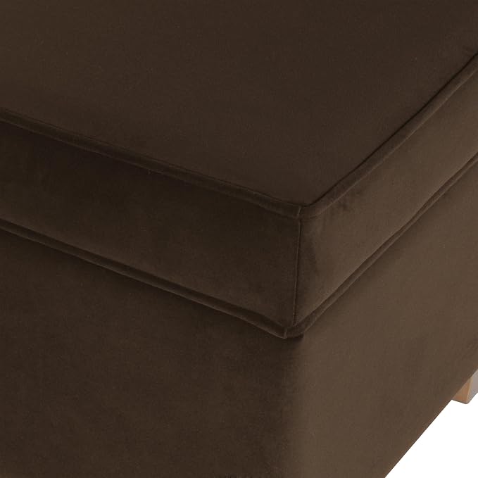 Spatial Order Home Decor | Dinah Collection Modern Storage Ottoman | Ottoman with Storage for Living Room & Bedroom(Chocolate Brown Velvet)