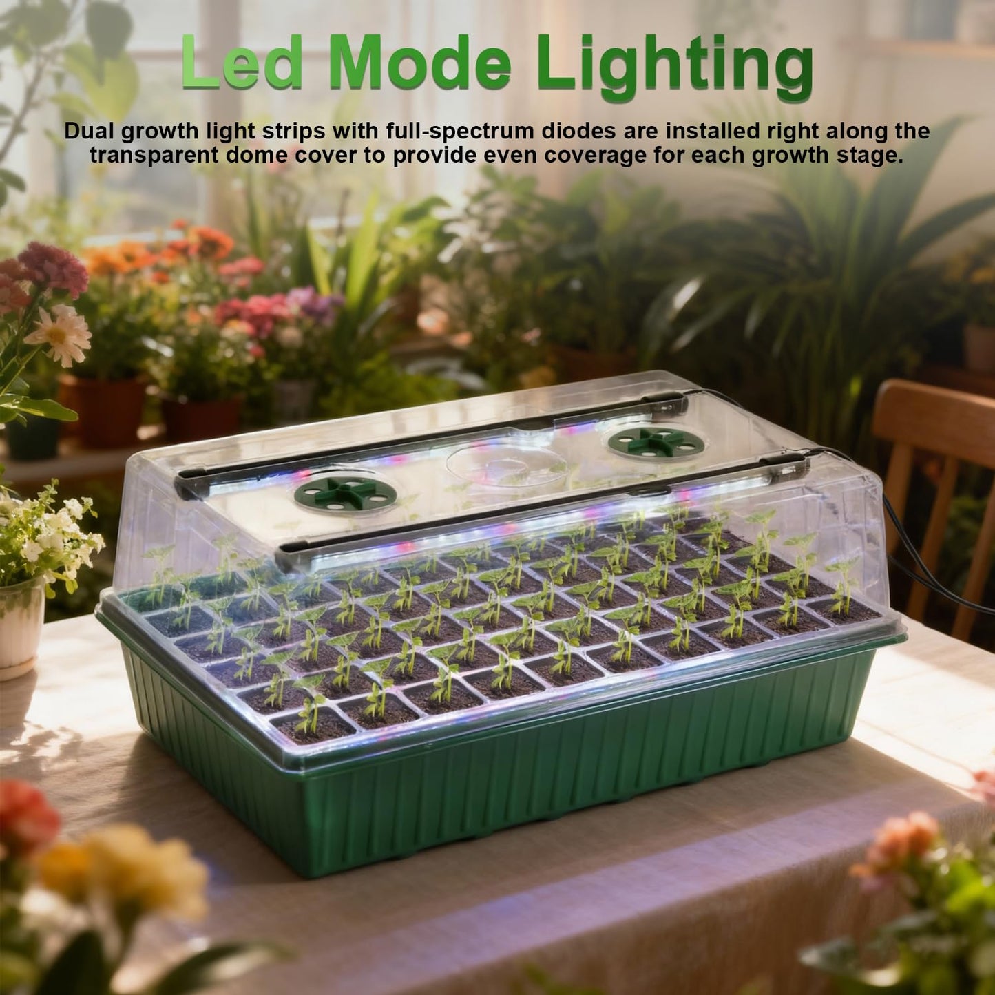 TONYFUL Seed Starter Tray with Grow Light, 60-Cell Seed Starter Kit with 4.07” Humidity Dome, Indoor Seedling Starter Tray, Seed Starting Tray for Plant Germination, Seeds Growing