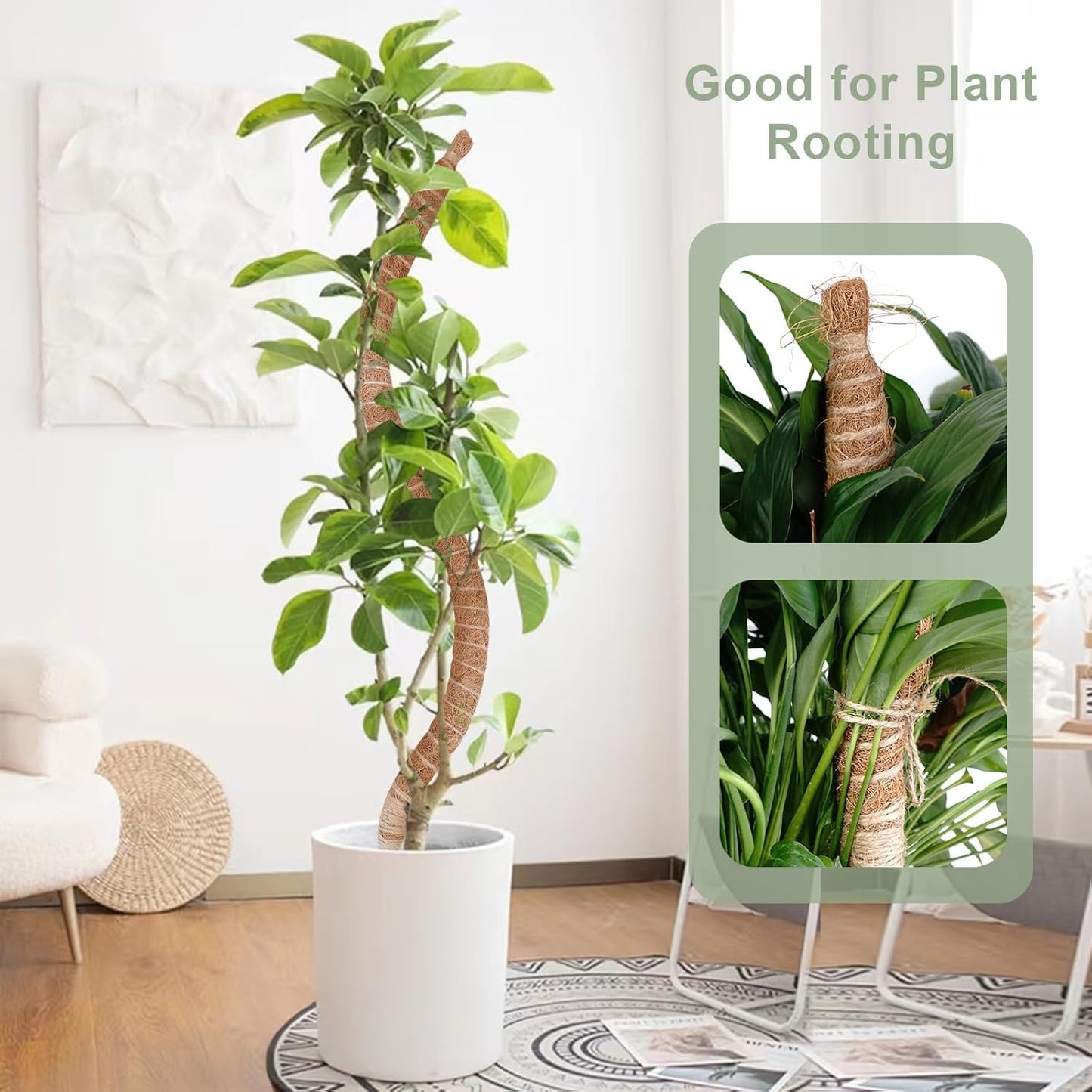 2 Pack 60 Inch Moss Pole, Bendable Moss Pole for Plants Monstera, Tall Moss Poles for Climbing Plants Indoor, Large Support, Garden Trellis Stick Stakes for Plant
