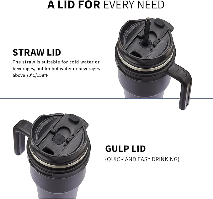 20 oz Insulated Coffee Mug Tumbler with Handle, Stainless Steel Travel Mug Tumbler with Lid and Straw, Double Wall Vacuum Leak Proof Ice Coffee Thermal Cup, Plum