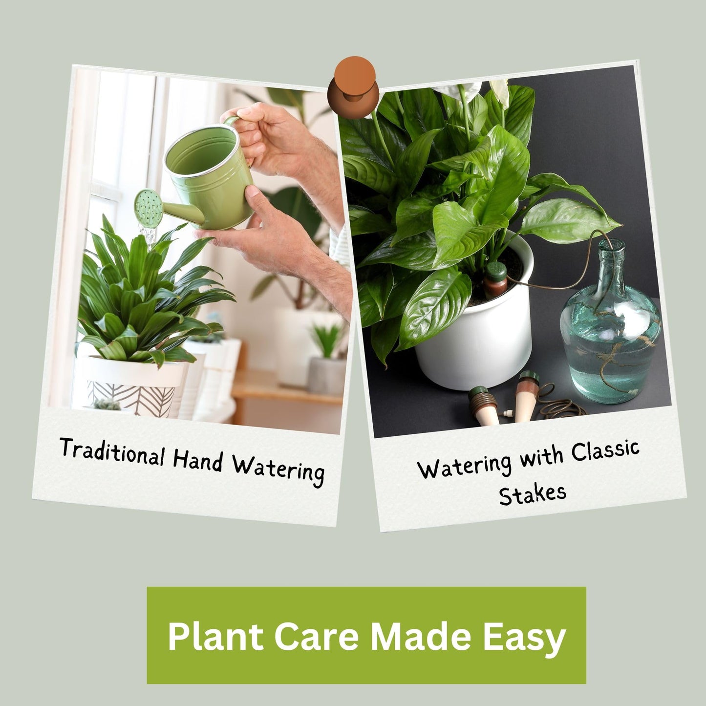 Blumat Classic Self-Watering Stakes - Prevents Overwatering and Underwatering for Healthy Growth While You are Away - Ideal for Indoor Plant Watering, 25 Pack, wo Adapter