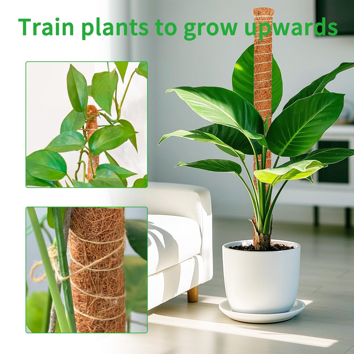 Dimpoo 4 Pack 28 Inch Moss Pole Monstera Plant Support, Coir Moss Poles for Climbing Indoor Plants, Bendable Plant Stake Trellis for Potted Plant, Pothos, Philodendron
