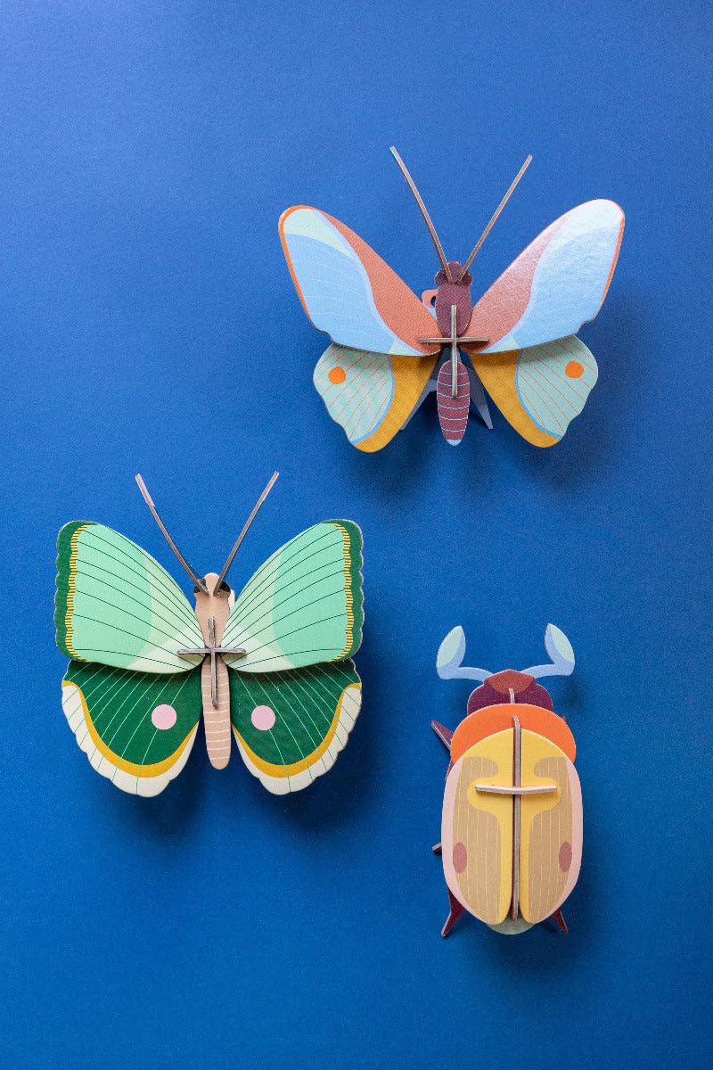 STUDIO ROOF, Wall Art Butterfly, Fern Striped Butterfly, Eco-Friendly & Creative Gift