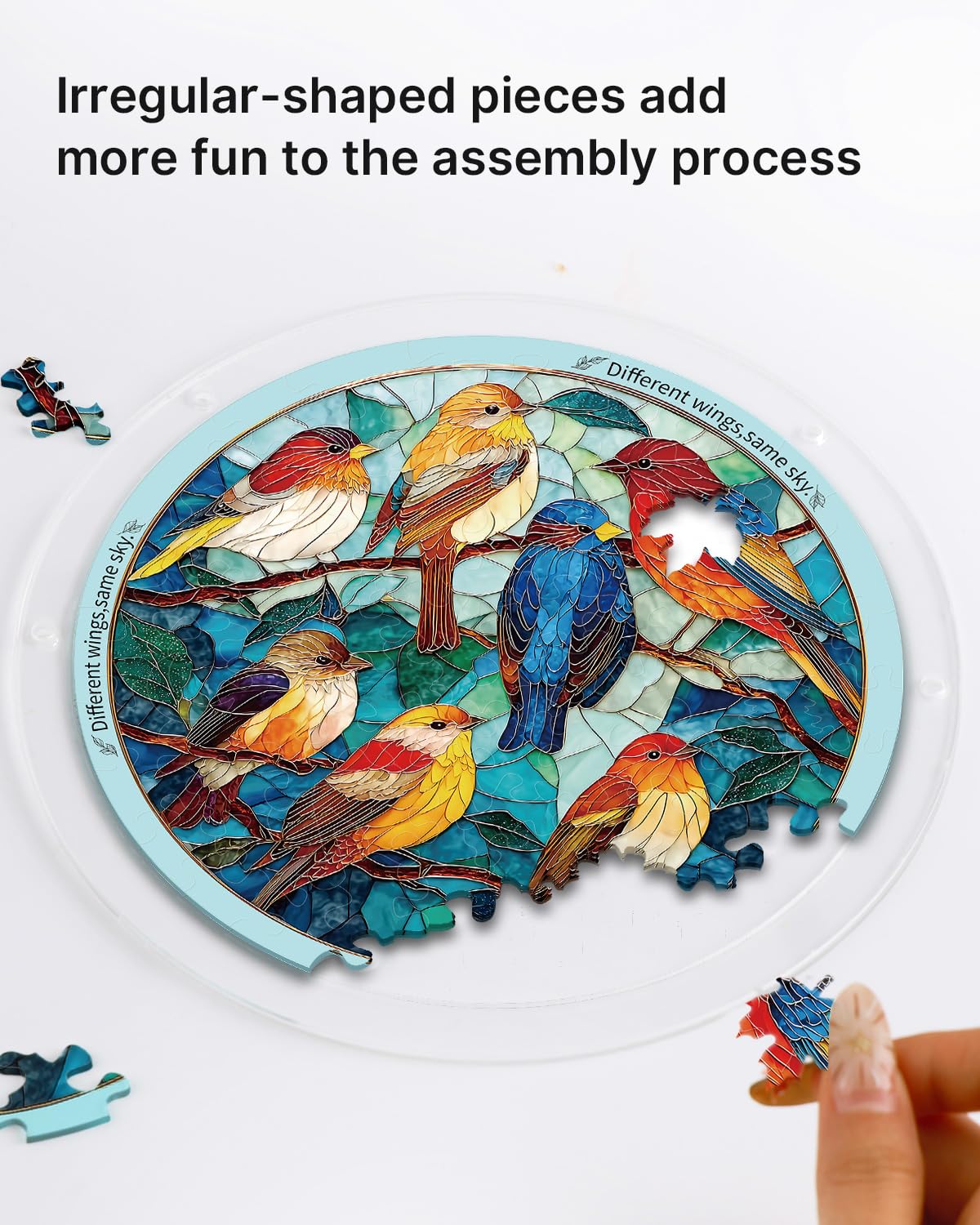 Acrylic Puzzle Suncatcher 83 Pieces, Glowing Feather Haven Sun Catchers Puzzle, DIY SunCatchers Puzzles Window Hanging, Home & Garden Decor, 7.4 in