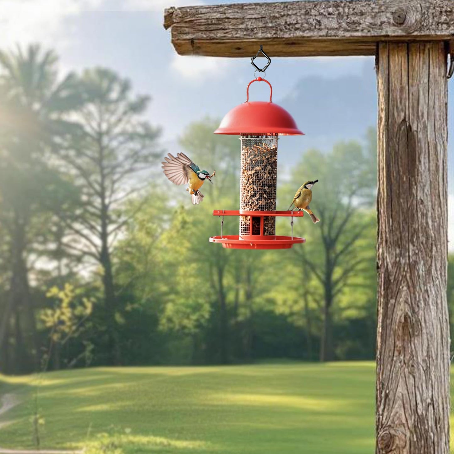 Viweolm 60 Pcs Black Eye Hooks Screw Heavy Duty,Ceiling Hooks for Hanging Plants,String Lights,Cup,Wind Chime,Bird Feeders. Plant Hanger Indoor&Outdoor