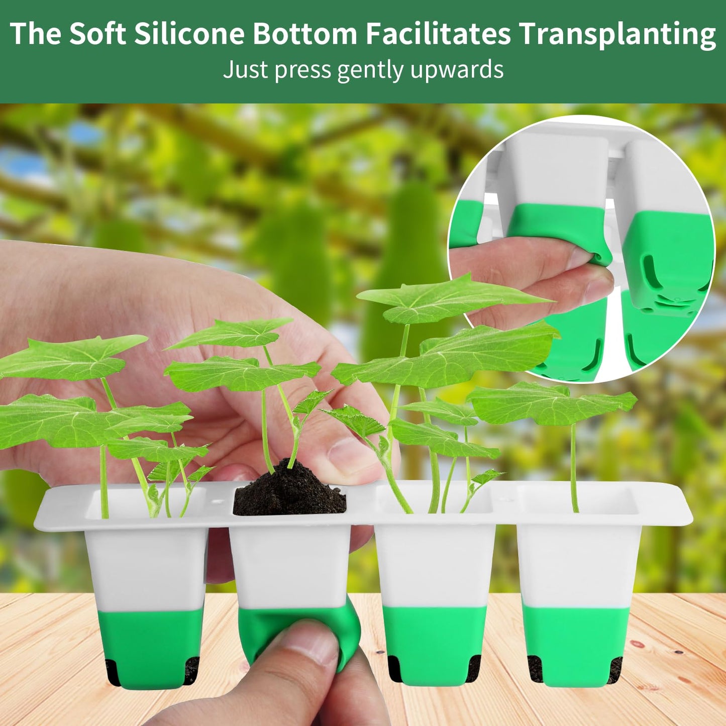 Sondiko Seed Starter Tray with Soft Silicone Cells, 80 Cells Seedling Trays Seed Startering Kit, 4 Pack Plant Starter Trays with Humidity Dome, Base Mini Greenhouse Germination Kit